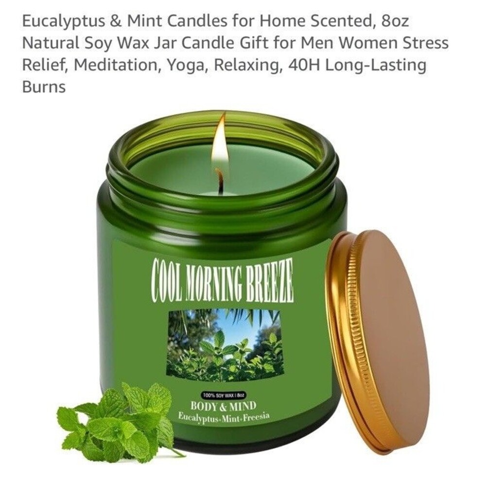 Scented Candle - Eucalyptus & Mint - 8 Oz Aromatherapy Soy Wax Jar Candle 40H